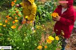 Cueillette à la ferme près de Montpellier, fruits et légumes frais (adresses, horaires)